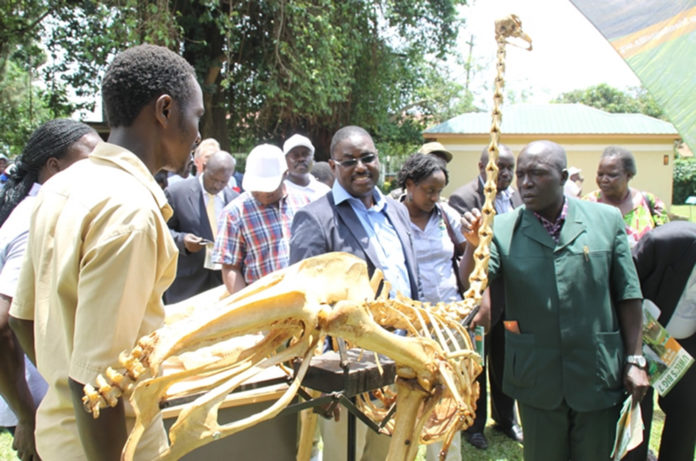 Entebbe Mayor Kayanja